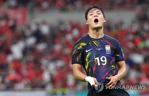 South Korea National Team 2022/23 Stadium Home (Son Heung-Min