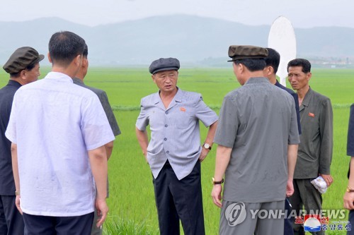 كوريا الشمالية تكثف جهودها لتقليل الأضرار الناجمة عن الأمطار الغزيرة