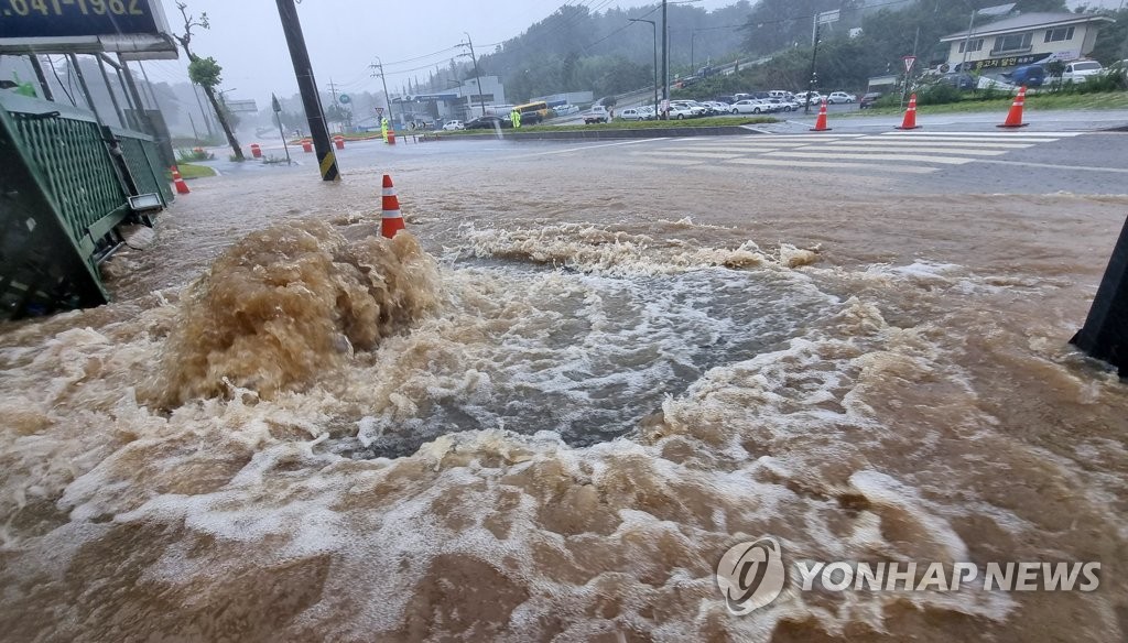 順天】黄金色に輝く秋の絶景「順天湾湿地」 | カラフル韓国