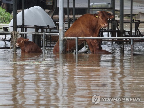 台風 