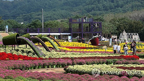 인제 가을꽃축제 찾은 관광객들