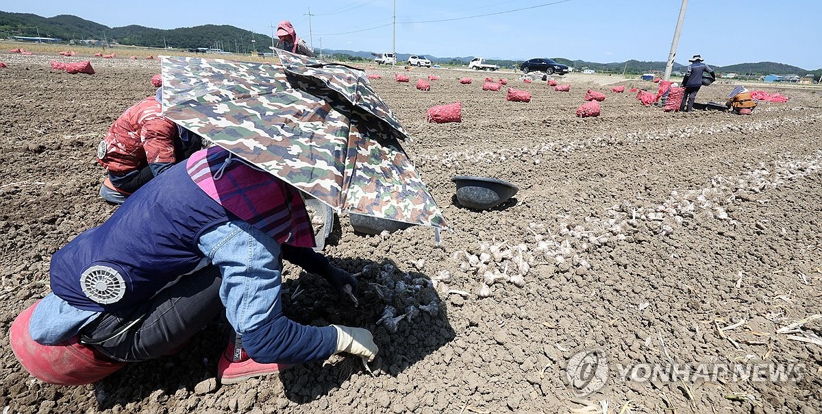 외국인 계절근로자