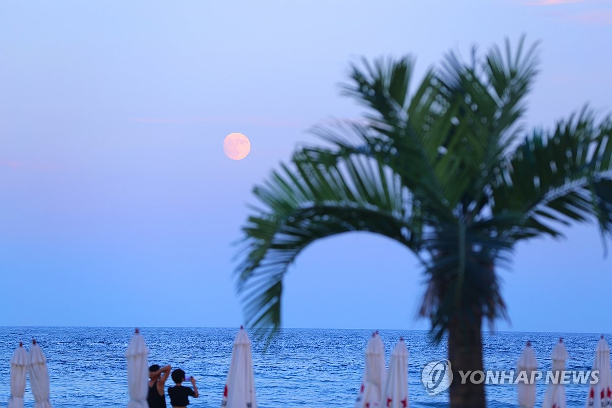 청정 해변서 해수욕 즐기세요…양양 해수욕장 21곳 수질…