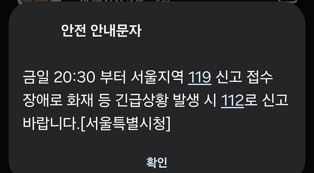 서울 지역 119 신고 접수 45분간 장애