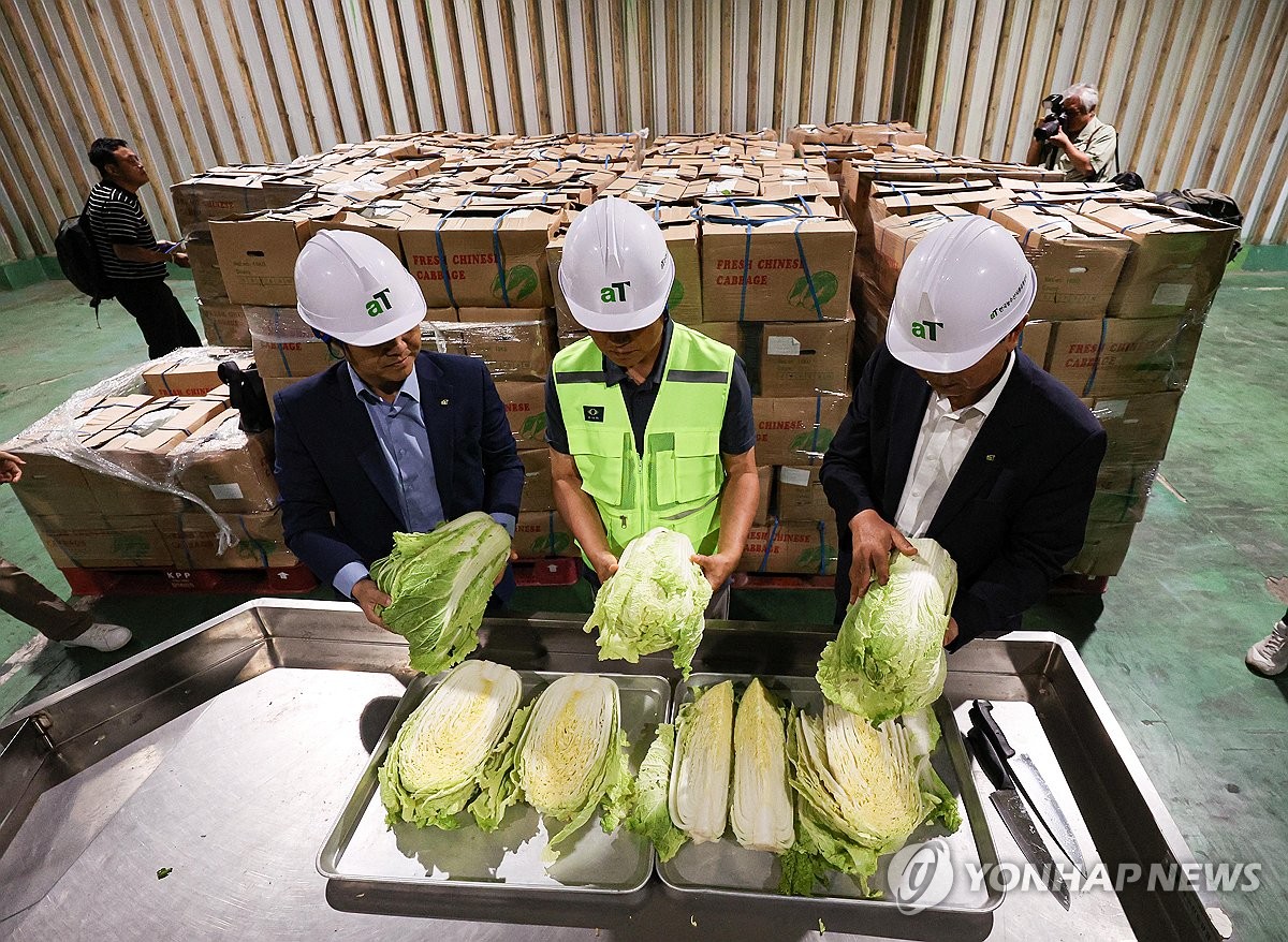 ハクサイ高騰で中国から輸入