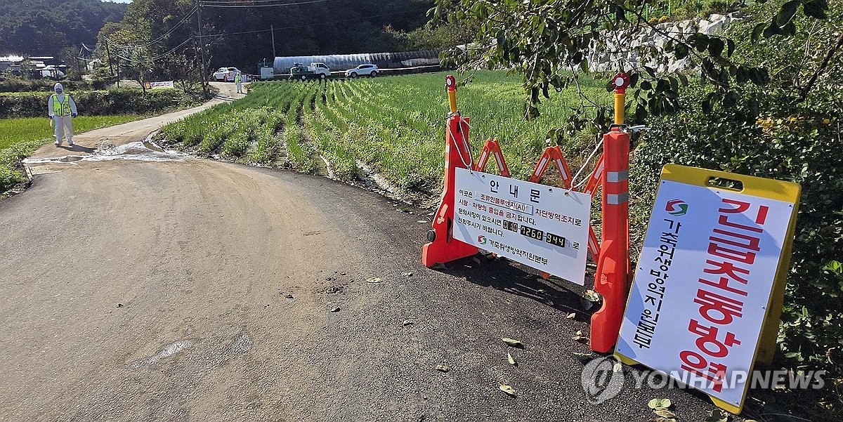 동해 농장서 AI 항원 발생…이동제한