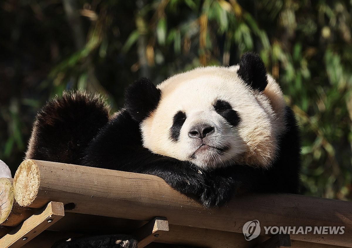 따뜻한 햇볕이 좋아