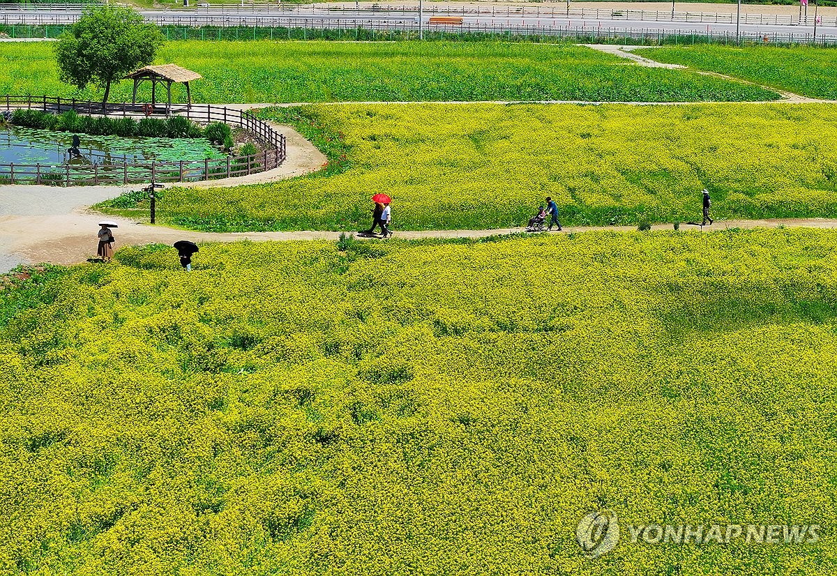 [날씨] 내륙 낮 30도 이상 더위 계속…제주도는 비