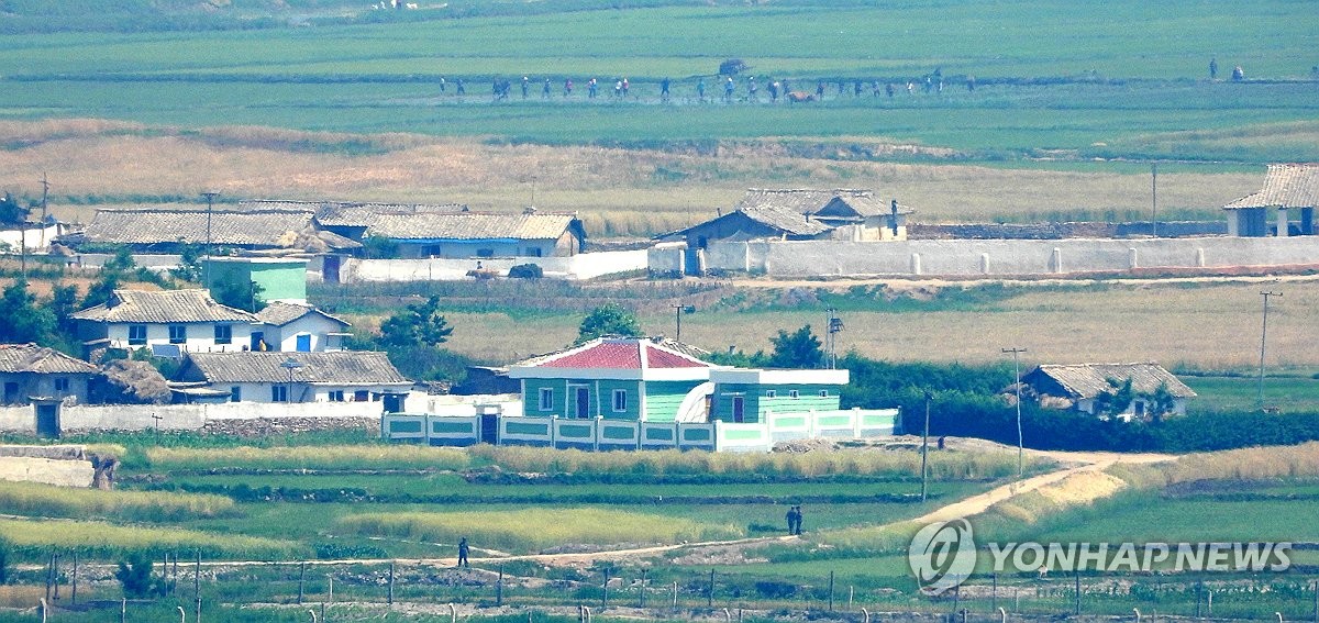 막바지 모내기하는 북한 주민들