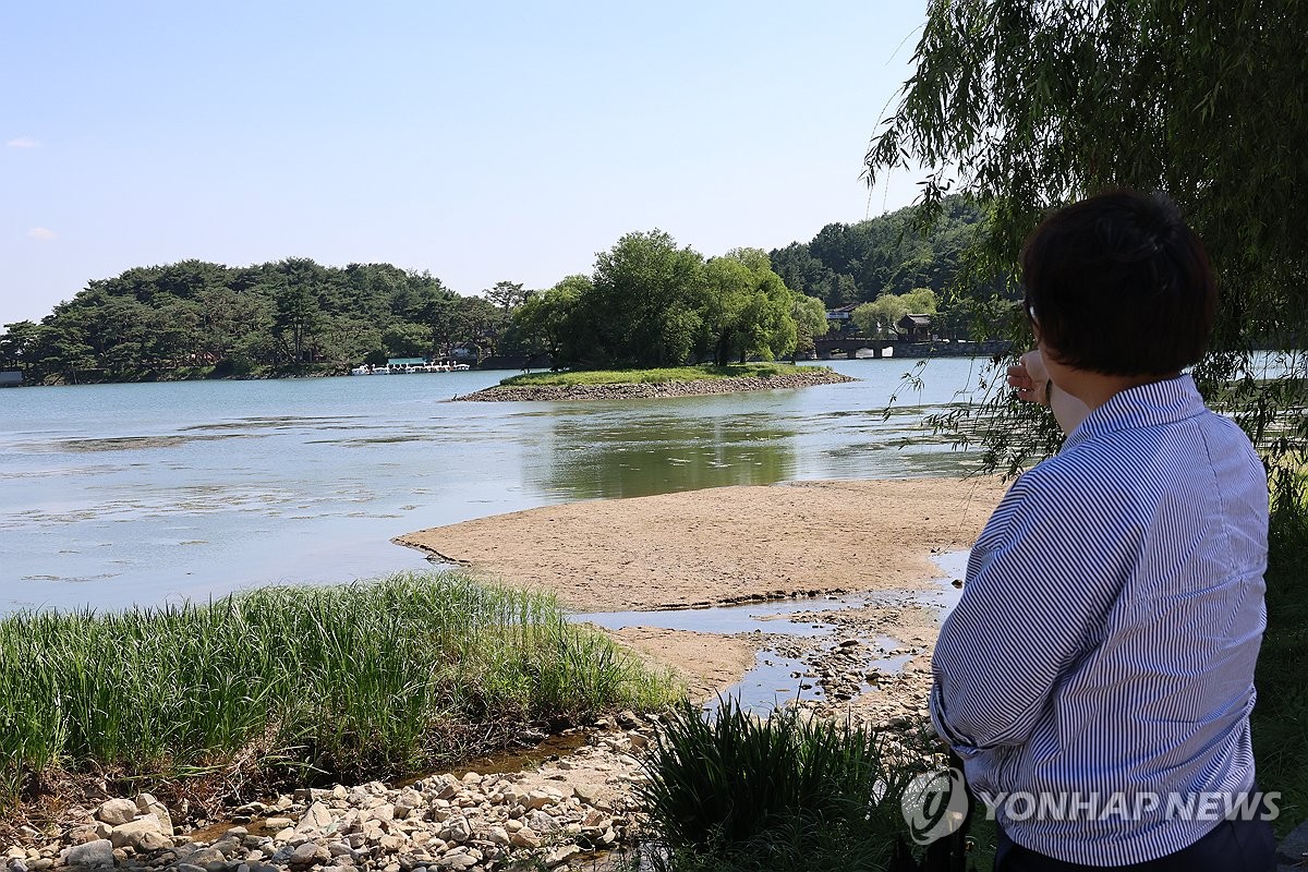 [픽! 제천] 폭염에 바닥 일부 드러낸 의림지