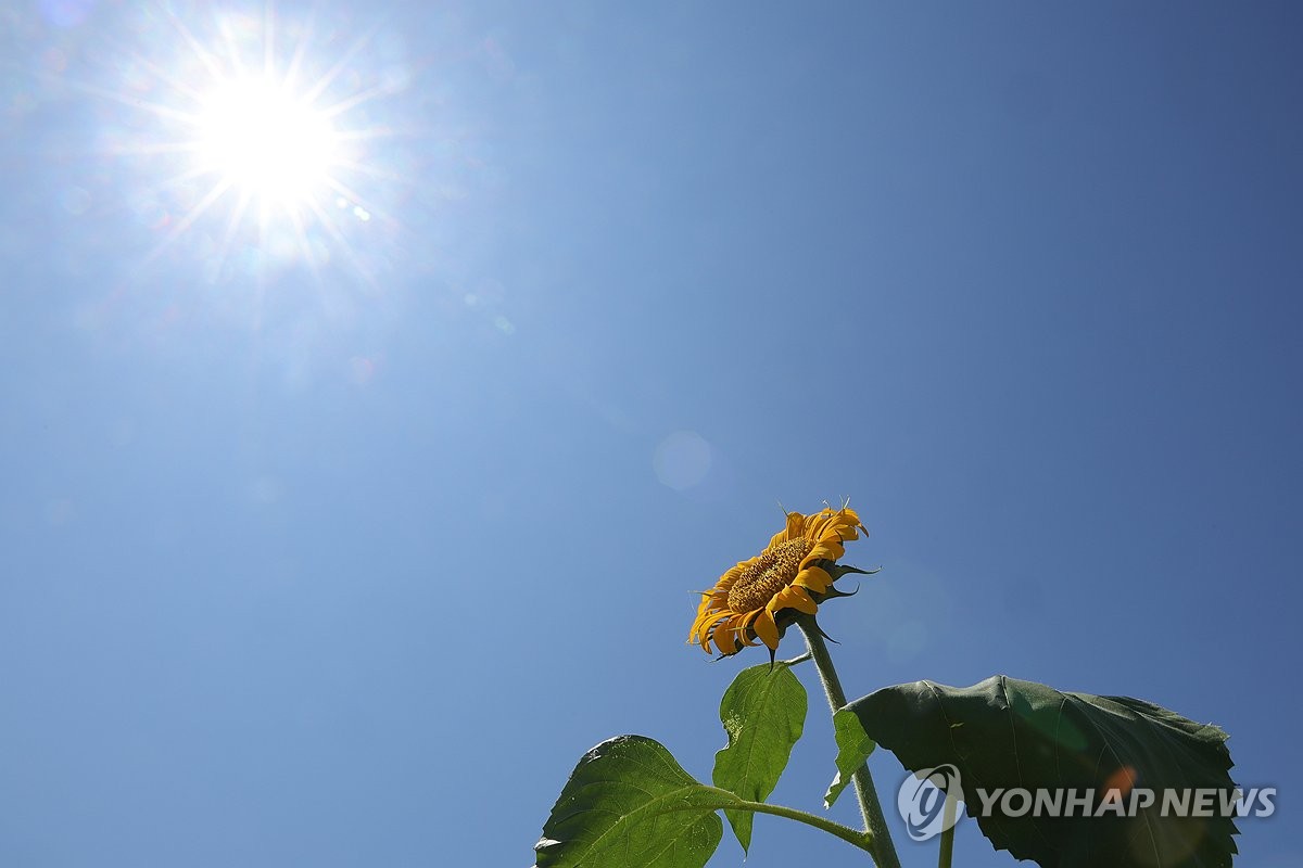 전국에 대체로 맑은 하늘…서울 최고 36도 등 무더위 지속