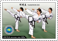 N.K. stamps on Korean martial arts taekwondo