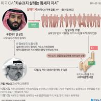  미국 CIA "카슈끄지 살해는 왕세자 지시"